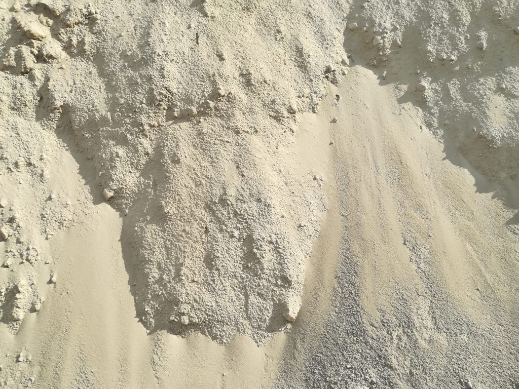 IMG_20190317_152539 1