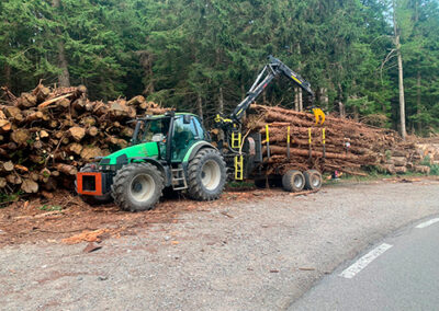 Carro forestale