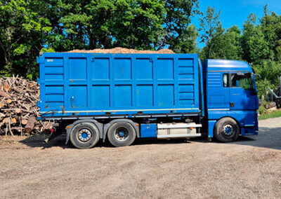 Camion 3 assi
